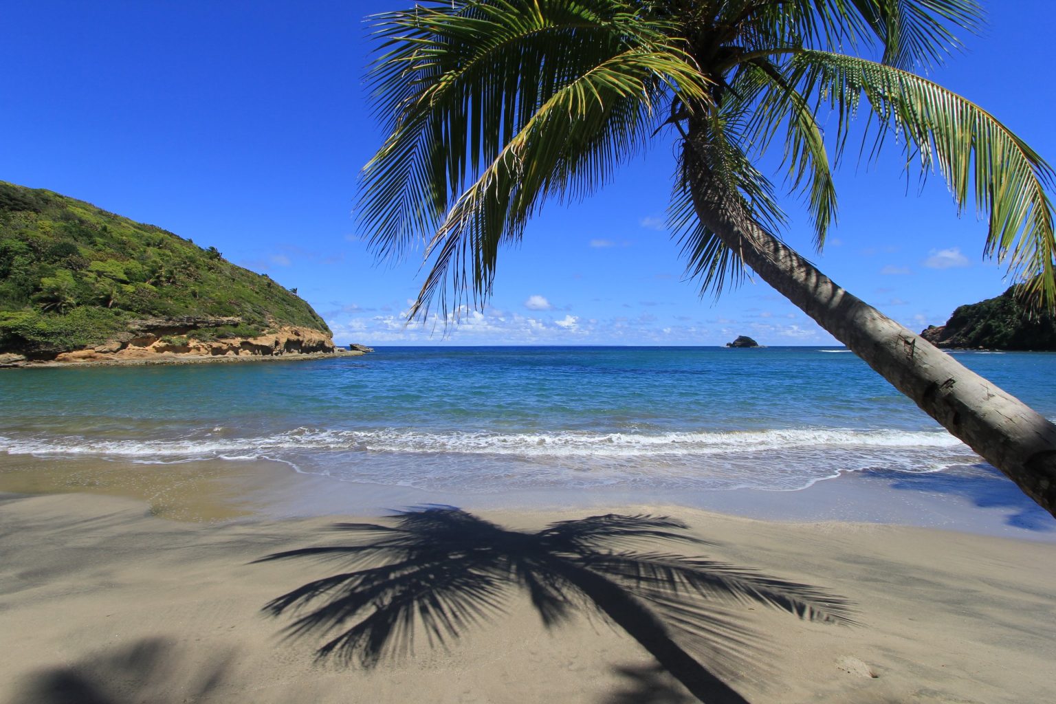 Tropical beach with a palm tree casting a shadow on the sand, overlooking clear blue ocean under a bright sky.
